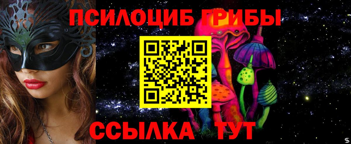 Галлюциногенные грибы Psilocybine cubensis  Вход с VPN  Кстово 